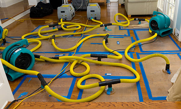 Professional Sewage Cleanup technician working in Lacey, WA